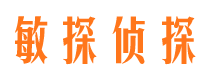 云溪市调查公司